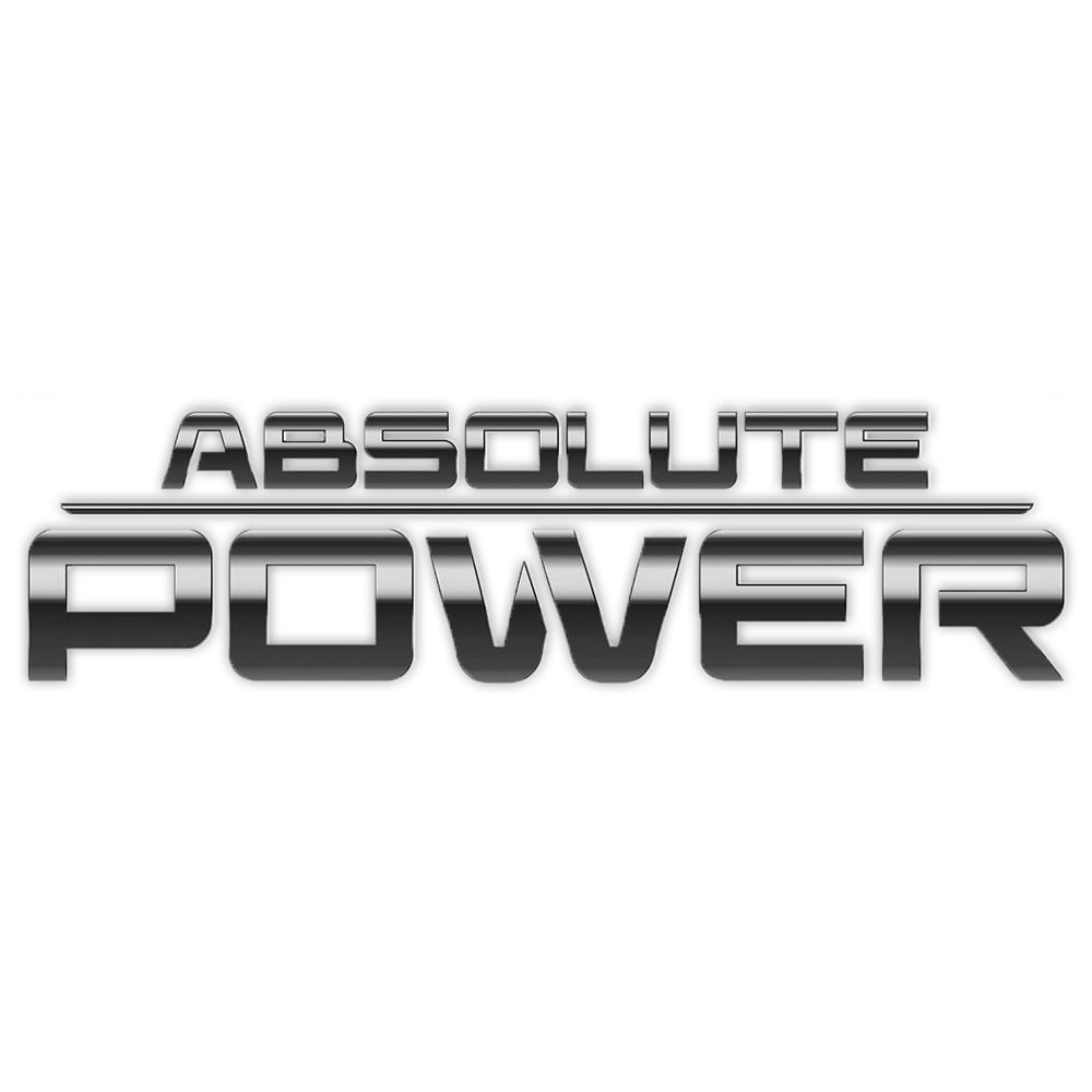 ABSOLUTE POWER (2024)