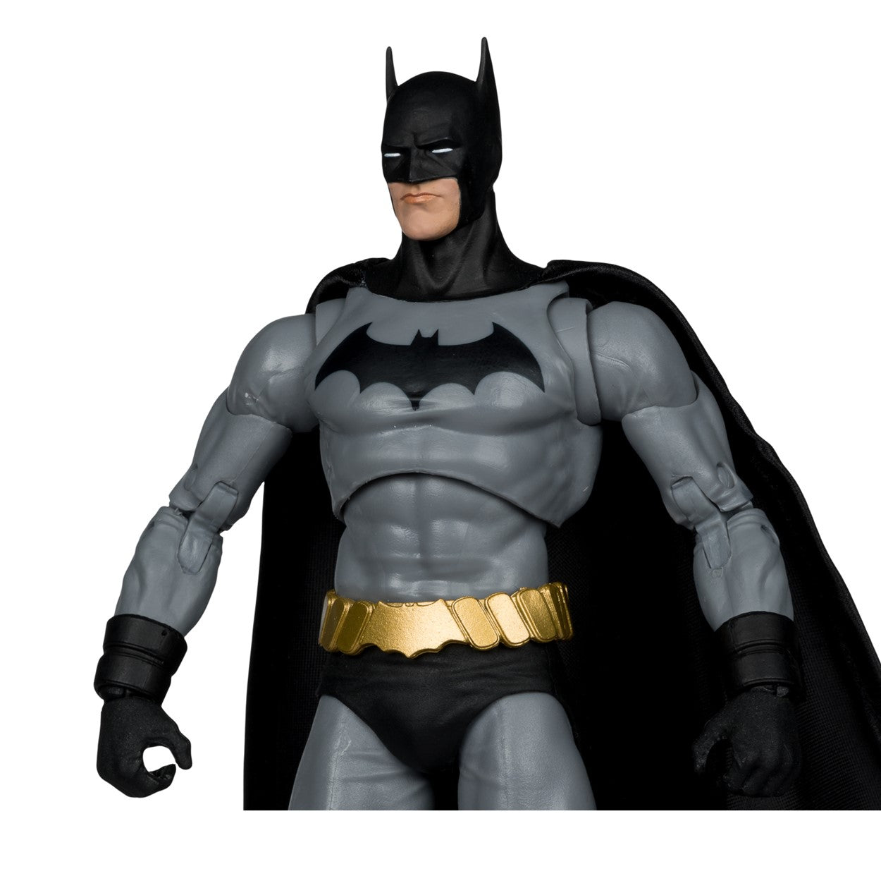 DC Multiverse Batman (Batman: Reborn)