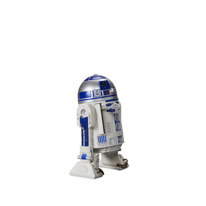 Star Wars The Black Series R2-D2 (Artoo-Detoo)