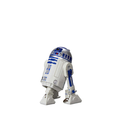 Star Wars The Black Series R2-D2 (Artoo-Detoo)