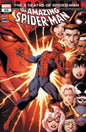 THE AMAZING SPIDER-MAN #065