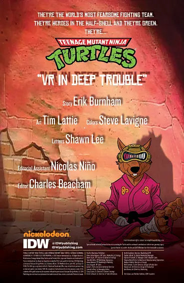 TEENAGE MUTANT NINJA TURTLES: SATURDAY MORNING ADVENTURES #1 (OF 4)